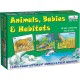 Animals, Babies and Habitats