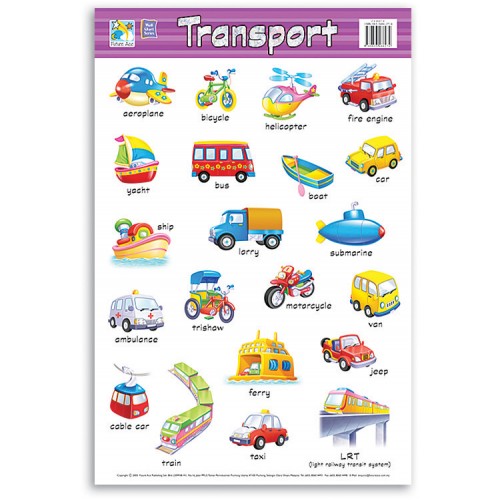 Wall Chart - Transport