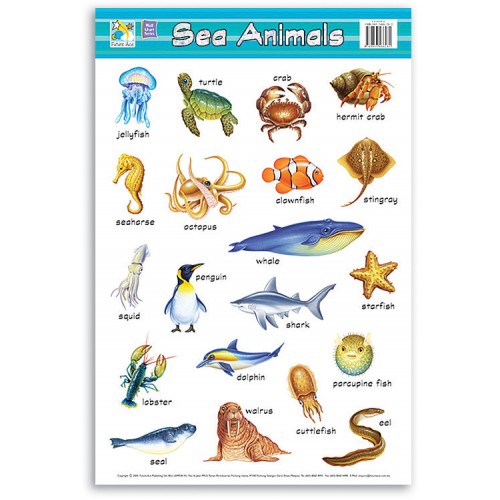 Wall Chart - Sea Animals - BOSS - School and Office Supplies