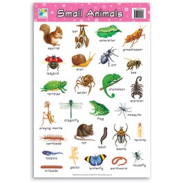 Wall Chart - Small Animals
