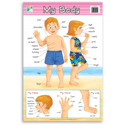 Wall Chart - My Body