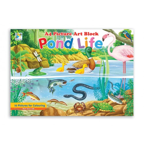 Colouring Books ( Pond Life )