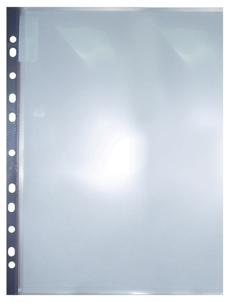 SHEET PROTECTOR L/S (100)