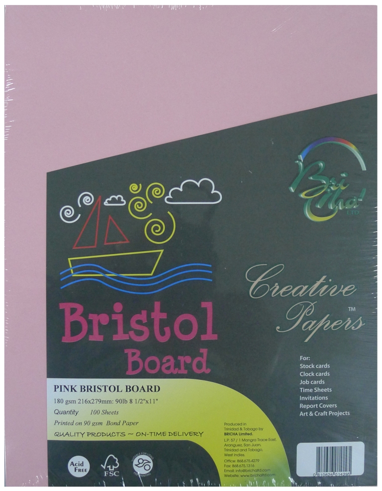 DIVIDERS L/S BRISTOL PNK (100)
