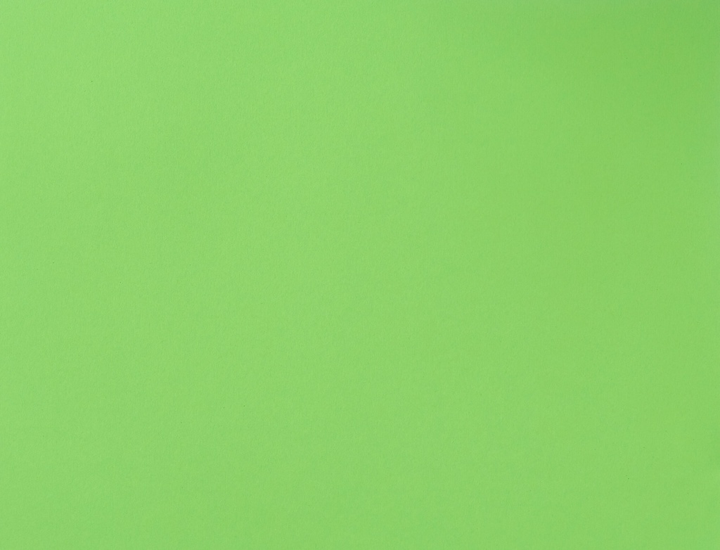 BOARD FLUO EMER GRN L/S (100)