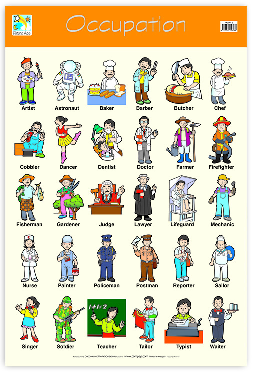 WALLCHART OCCUPATION
