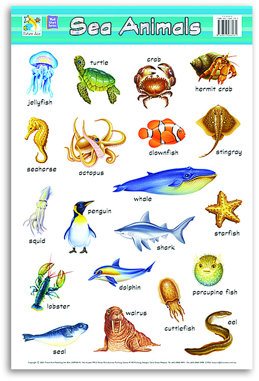 WALLCHART SEA ANIMAL FA0008E