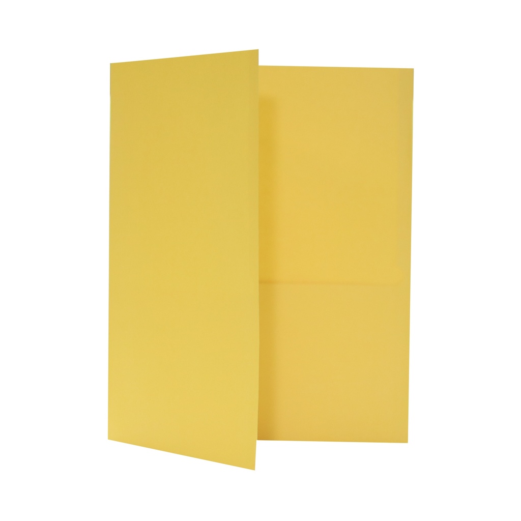 FILE PORTFOLIO T/POC YEL