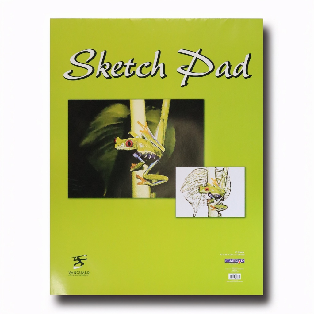 PAD SKETCH 22X17