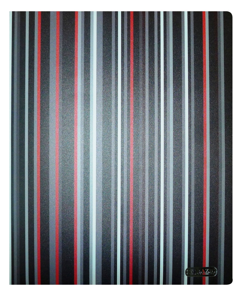 FILE POLY PORTFOLIO STRIPE2PKT