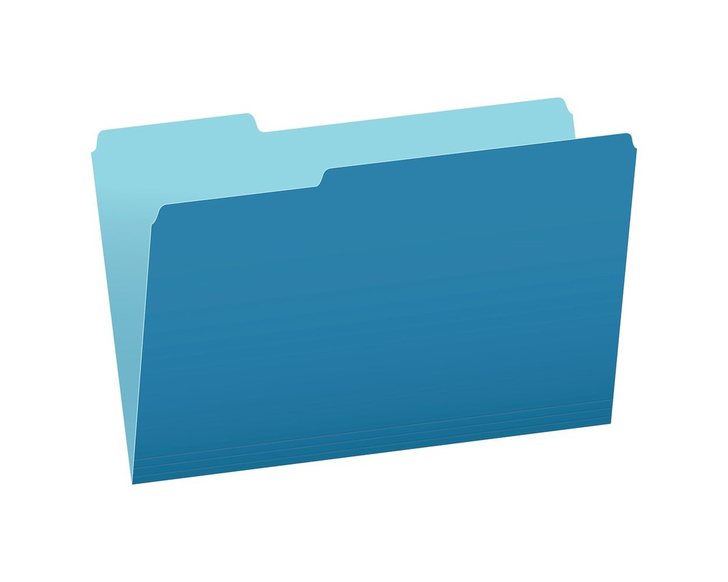 FILE FOLDER FOOLSCAP BLUE