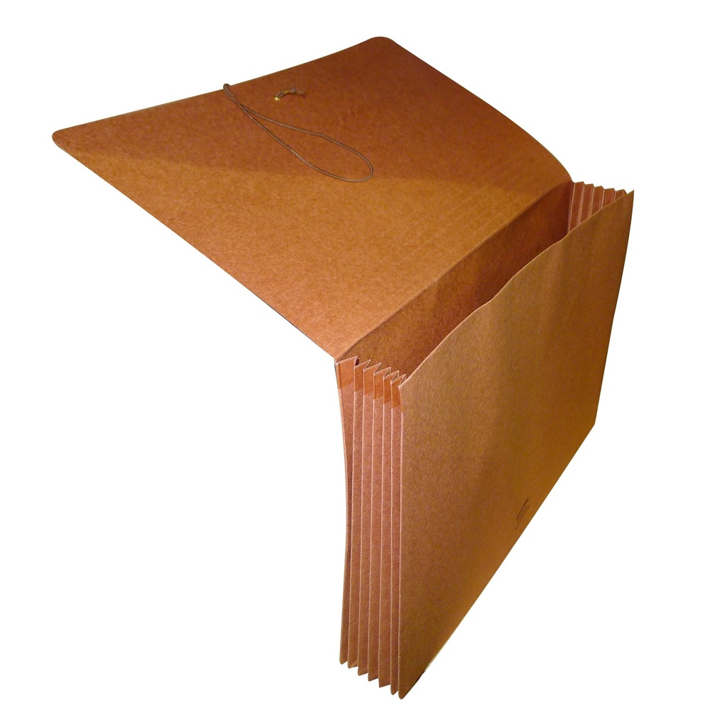 FILE DOC WALLET 5 1/4" GLOBEWE