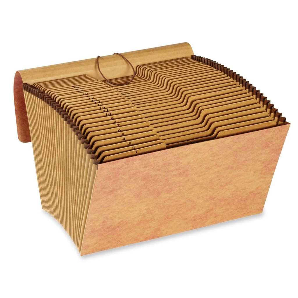 FILE EXPANDING 1-31  L/S