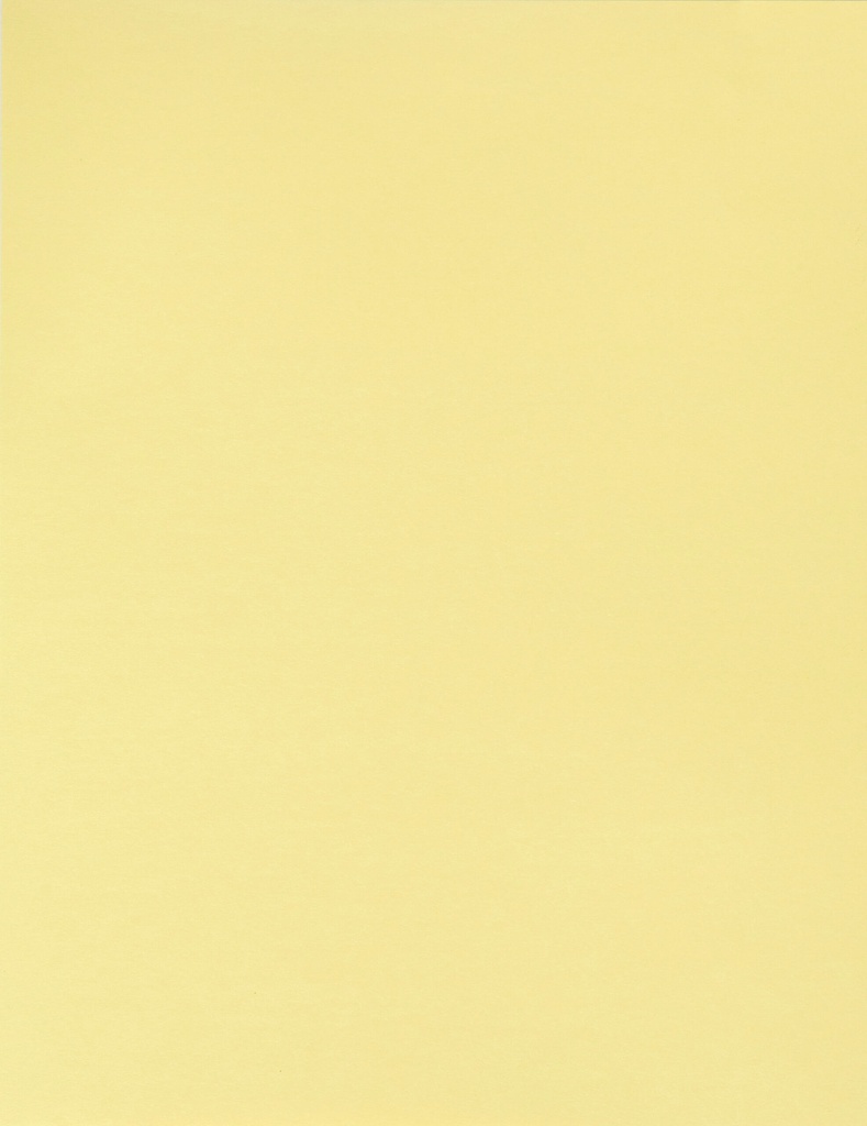 BOARD BRISTOL 180GM MAG YEL