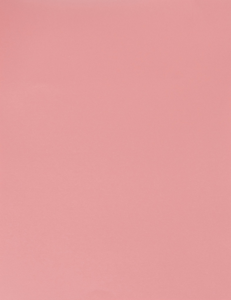 BOARD BRISTOL 180GM ROSE PNK