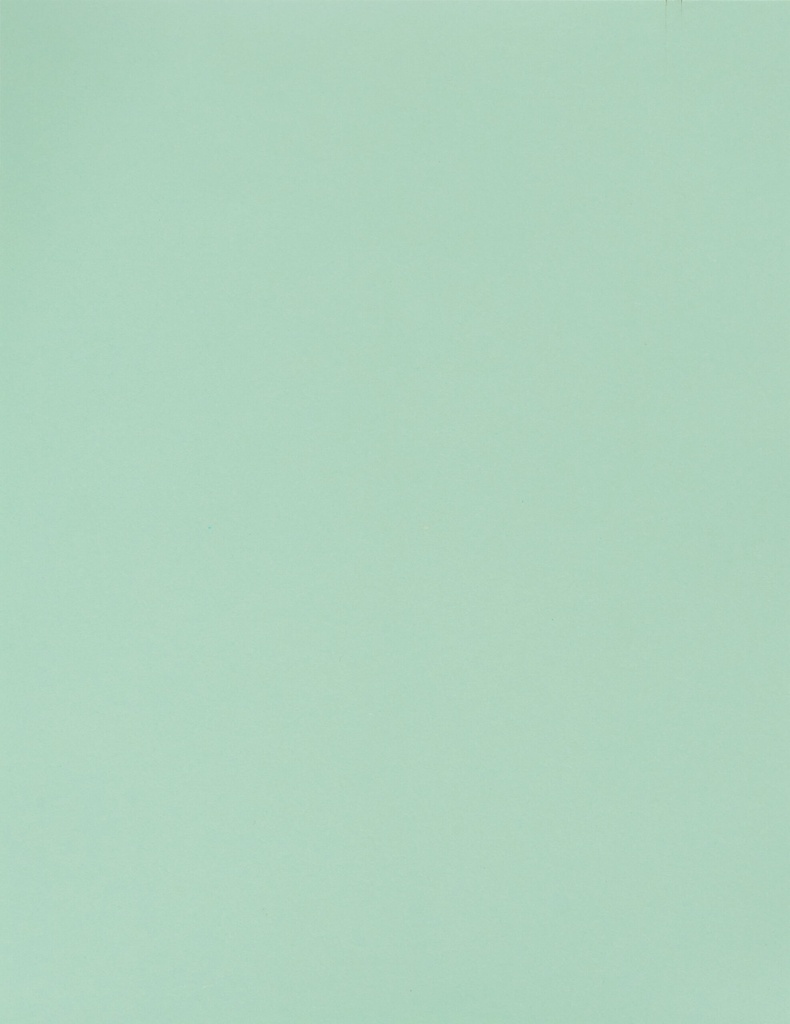 BOARD BRISTOL 180GM LAGOON/GRN