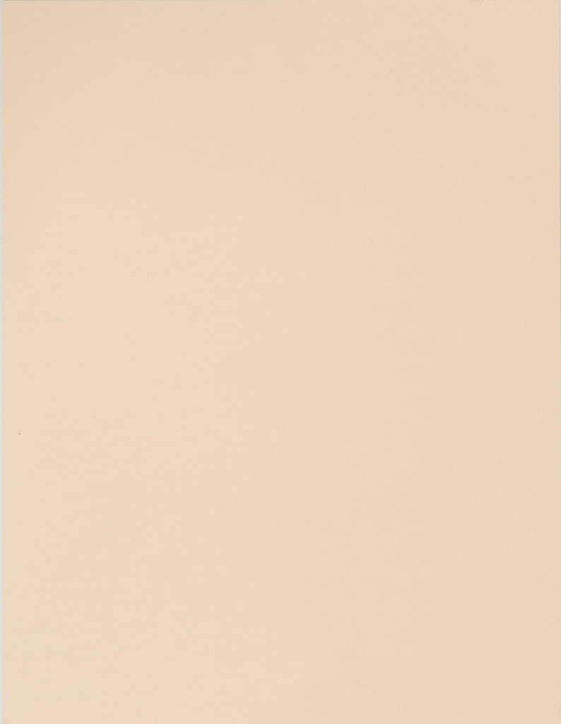 BOARD BRISTOL MAN/BUFF 90LB