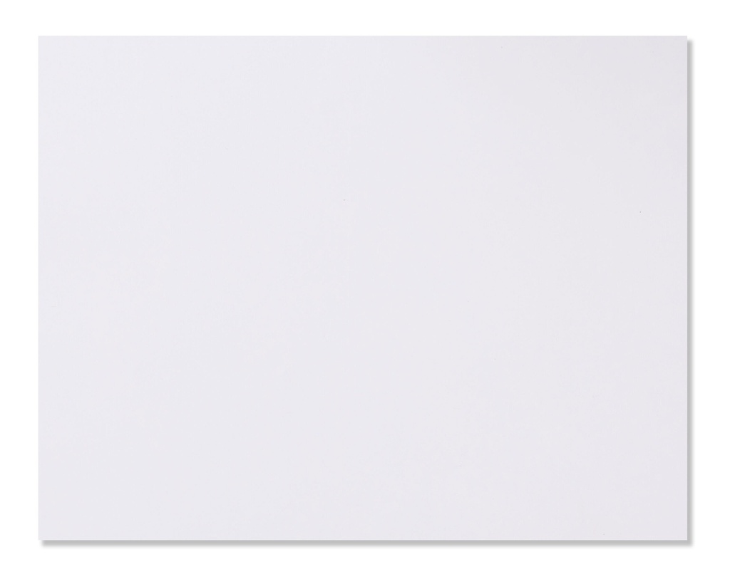 PAPER LAID CONQ L/S WH 100G