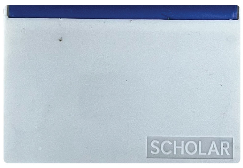 STAMP PAD INKED BLUE - POINTER