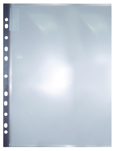 [GIHL100] SHEET PROTECTOR L/S (100)