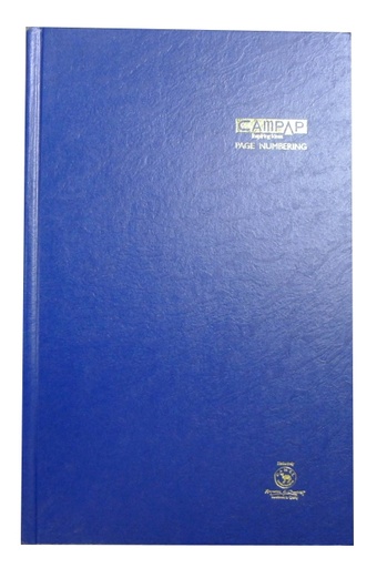 [CW13160] BOOK NOTE 13X8 4Q 400P AST COL