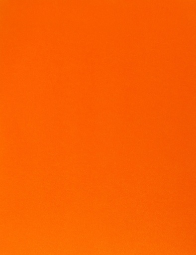 [LPP211] PAPER FLUO ORANGE L/S (100)