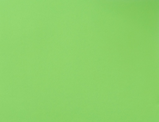 [LPP215] BOARD FLUO EMER GRN L/S (100)