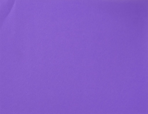 [LPP276] BOARD FLUO GRAPE L/S (100)