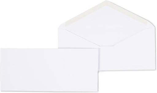 [LPP204] ENV WHITE 4 1/8 X 9 1/2 90GSM