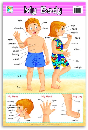 [CW0037E] WALLCHART MY BODY  FA0037E