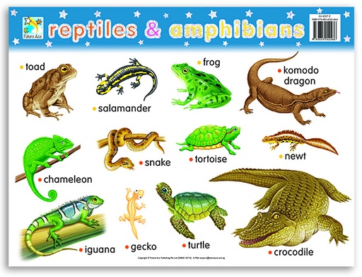 [CW0207E] WALLCHART MINI REPTILES***