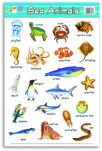 [CW48628] WALLCHART SEA ANIMAL FA0008E