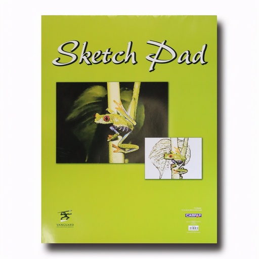 [LPP106] PAD SKETCH 22X17