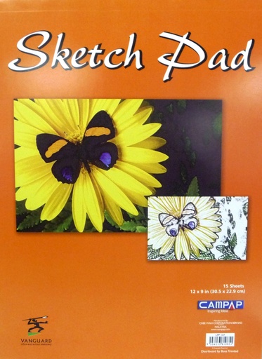 [LPP107] PAD SKETCH 12 x 9 (82283) VANG