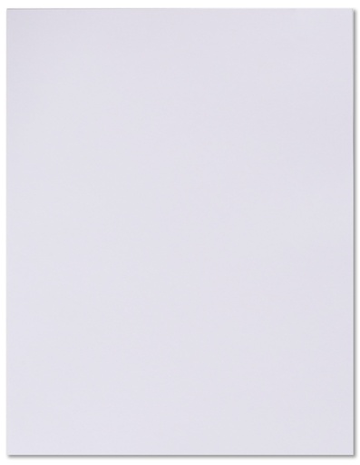[LPP003] BOARD BRISTOL 180GM MAG WHI