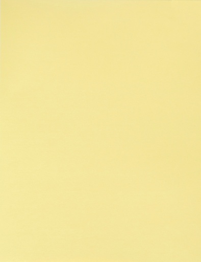 [LPP004] BOARD BRISTOL 180GM MAG YEL