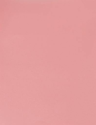 [LPP005] BOARD BRISTOL 180GM ROSE PNK