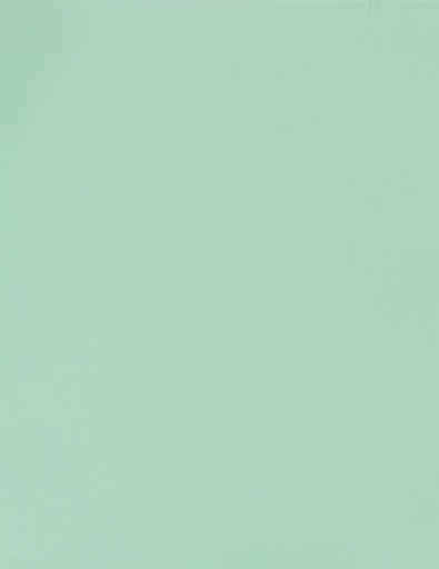 [LPP006] BOARD BRISTOL 180GM LAGOON/GRN