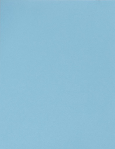 [LPP007] BOARD BRISTOL 180GM MAG BLU