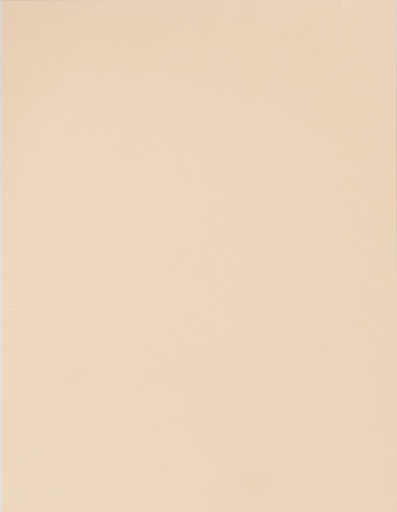 [LPP009] BOARD BRISTOL MAN/BUFF 90LB