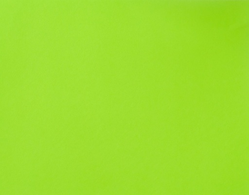 [LPP011] BOARD FLUO LIME GRN 20x26