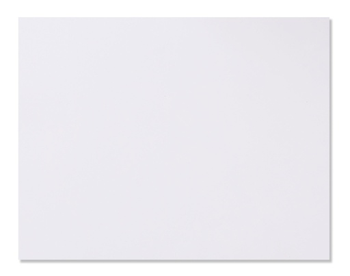 [SJ0534] PAPER LAID CONQ L/S WH 100G